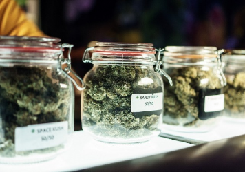 Certified Cannabis Dispensary Manager 