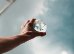 Introduction to Critical Thinking - CI-ITCT-01