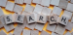 Paid Search (PPC) - WE-BP-20X111