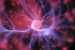 Student Brain: Energizing and Enhancing Instruction - WE-TEACHWE-SBEEI-0126