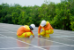 Clase Magistral de Técnico en Construcción Residencial y Energía Solar - WE-RSST-S-5292026