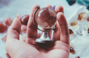 Global Business Management 