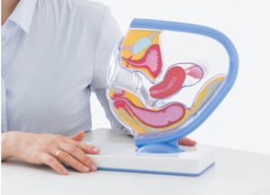 Endocrinology Specialization for Healthcare Professionals 