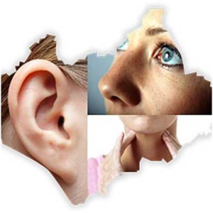 Ears, Eyes, Nose, and Throat Specialization for Healthcare Professionals 