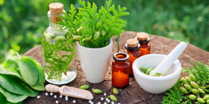Alternative Medicine Specialization for Healthcare Professionals 