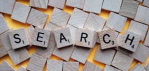 Paid Search (PPC) 