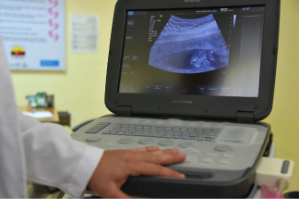 Obstetrics and Gynecology Specialization 