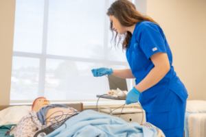 Healthcare Assistant: Virtual Simulation 
