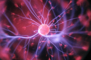 Student Brain: Energizing and Enhancing Instruction 